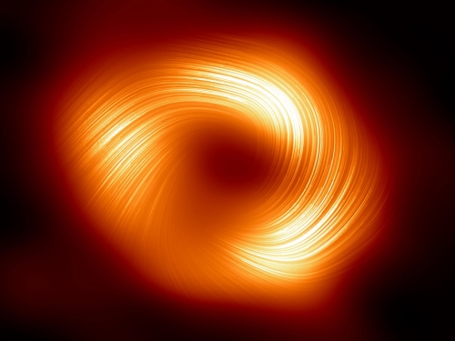 lines mark the orientation of polarization, which is related to the magnetic field around the shadow of the black hole